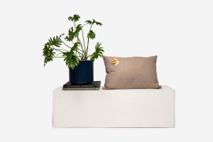 Small Pillow